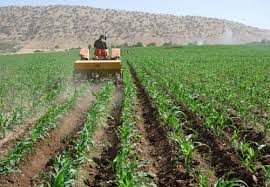 پاورپوینت آیش و تناوب زراعی در زراعت عمومی